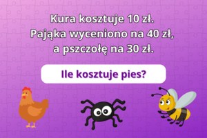 Mega trudny test na logikę: Ile kosztuje pies? 93% użytkowników poległo na tym zadaniu