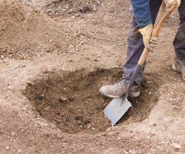 Szukali zguby, przypadkiem znaleźli skarb. W ogrodzie pod drzewem przeleżał 1200 lat