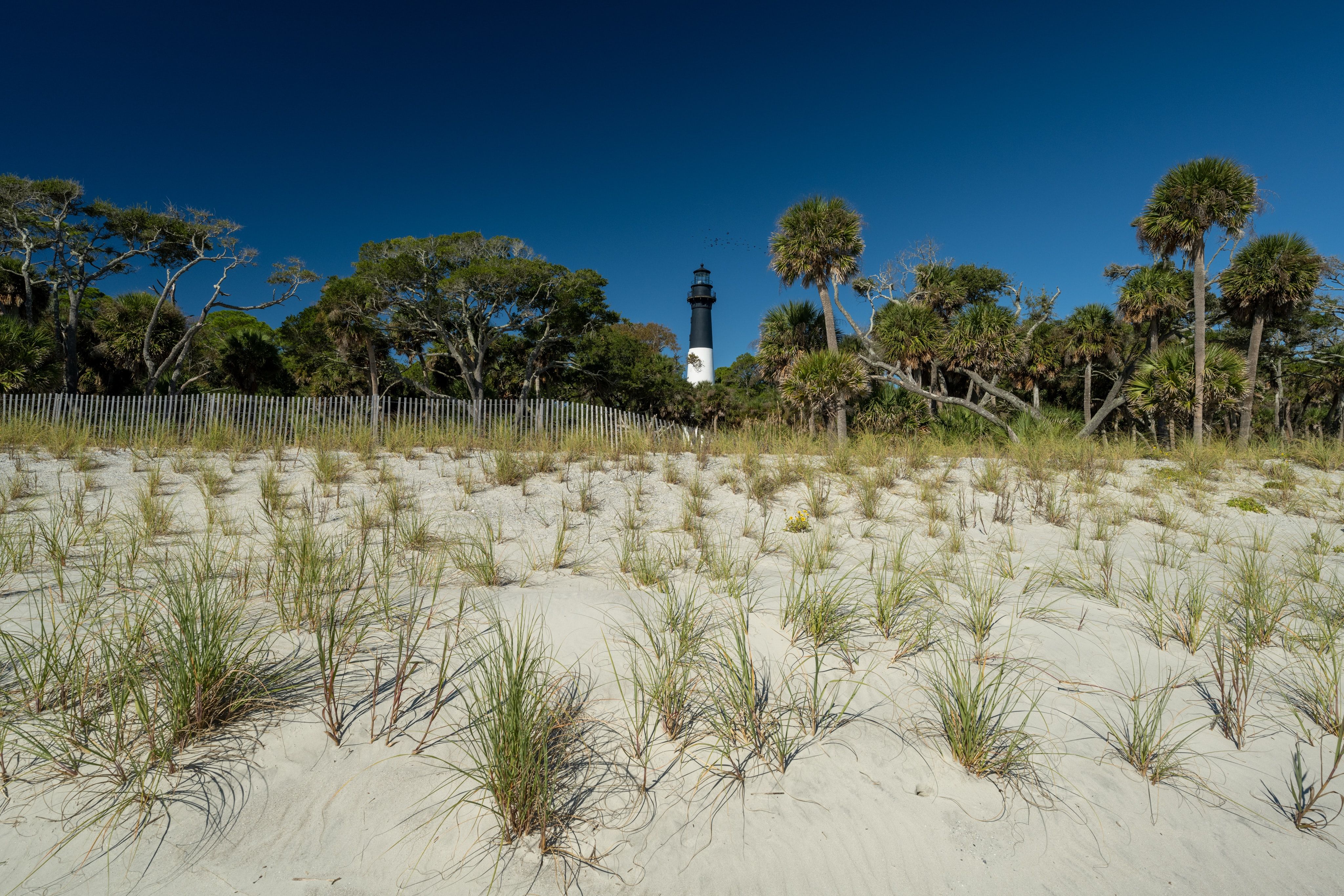 Park stanowy Hunting Island w Karolinie Południowej