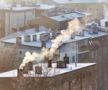 Podwyżki cen energii w 2024 r. są nieuniknione. "Rząd będzie musiał zjeść tę żabę"