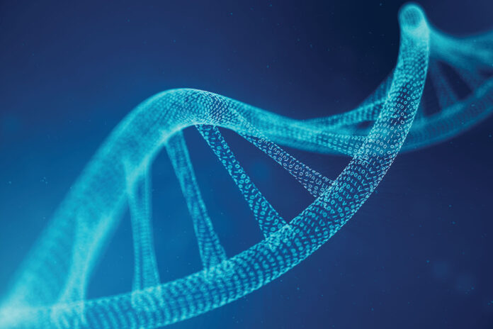 DNA sztucznej inteligencji
