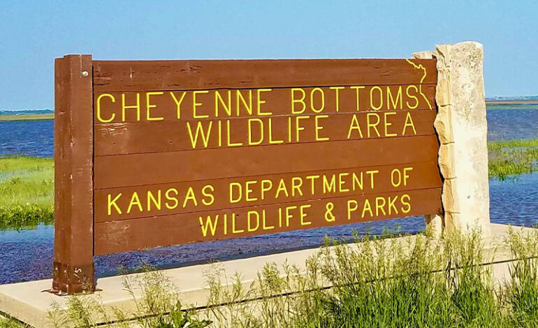 Obszar dzikiej przyrody Cheyenne Bottoms utrzymuje ważne tereny podmokłe