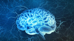 Hormon grasicy pomaga naprawiać mózg po udarze