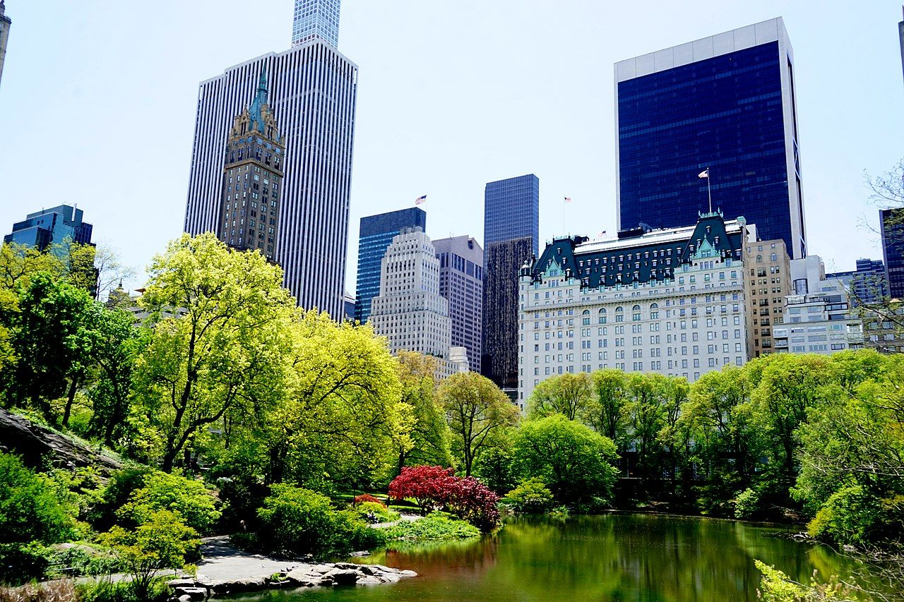   Hotel Plaza i inne budynki oglądane z Central Parku, Nowy Jork, NY