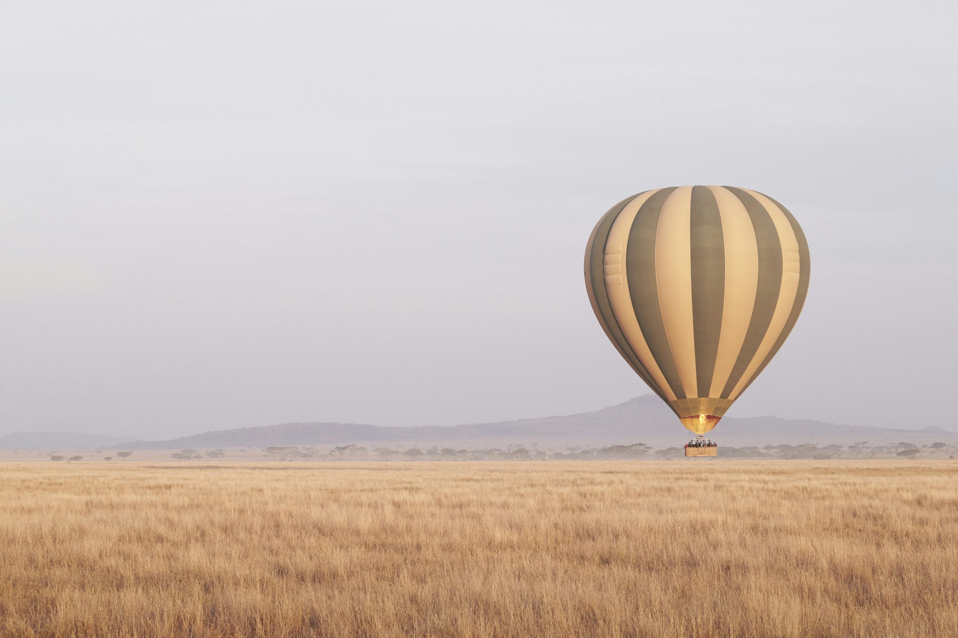 Balon na ogrzane powietrze startuje o świcie nad Serengeti