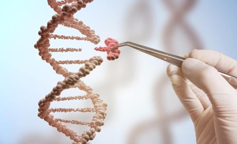 Sposób dostarczania wektorów do terapii genowej stosowanych klinicznie: Badanie |  Zdrowie