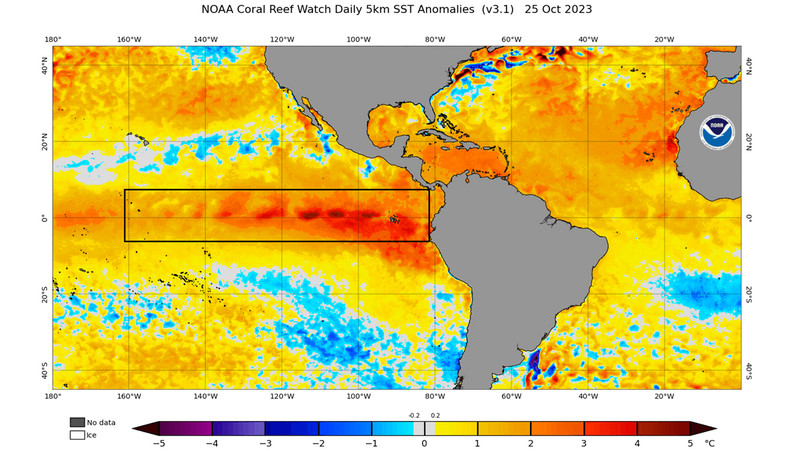 Na Pacyfiku widoczna jest anomalia El Niño