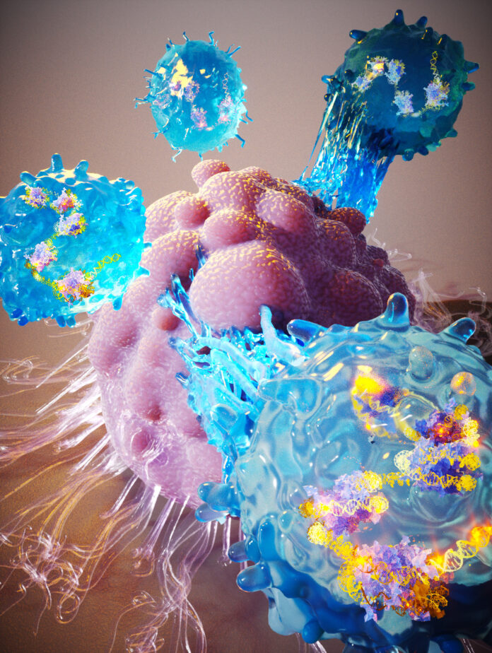 Limfocyty T wzmocnione CRISPR atakujące guz