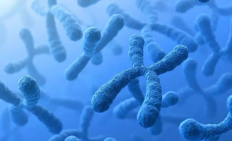 Badanie wykazało wpływ chromosomu Y na genetyczne podłoże problemów trawiennych, ET HealthWorld