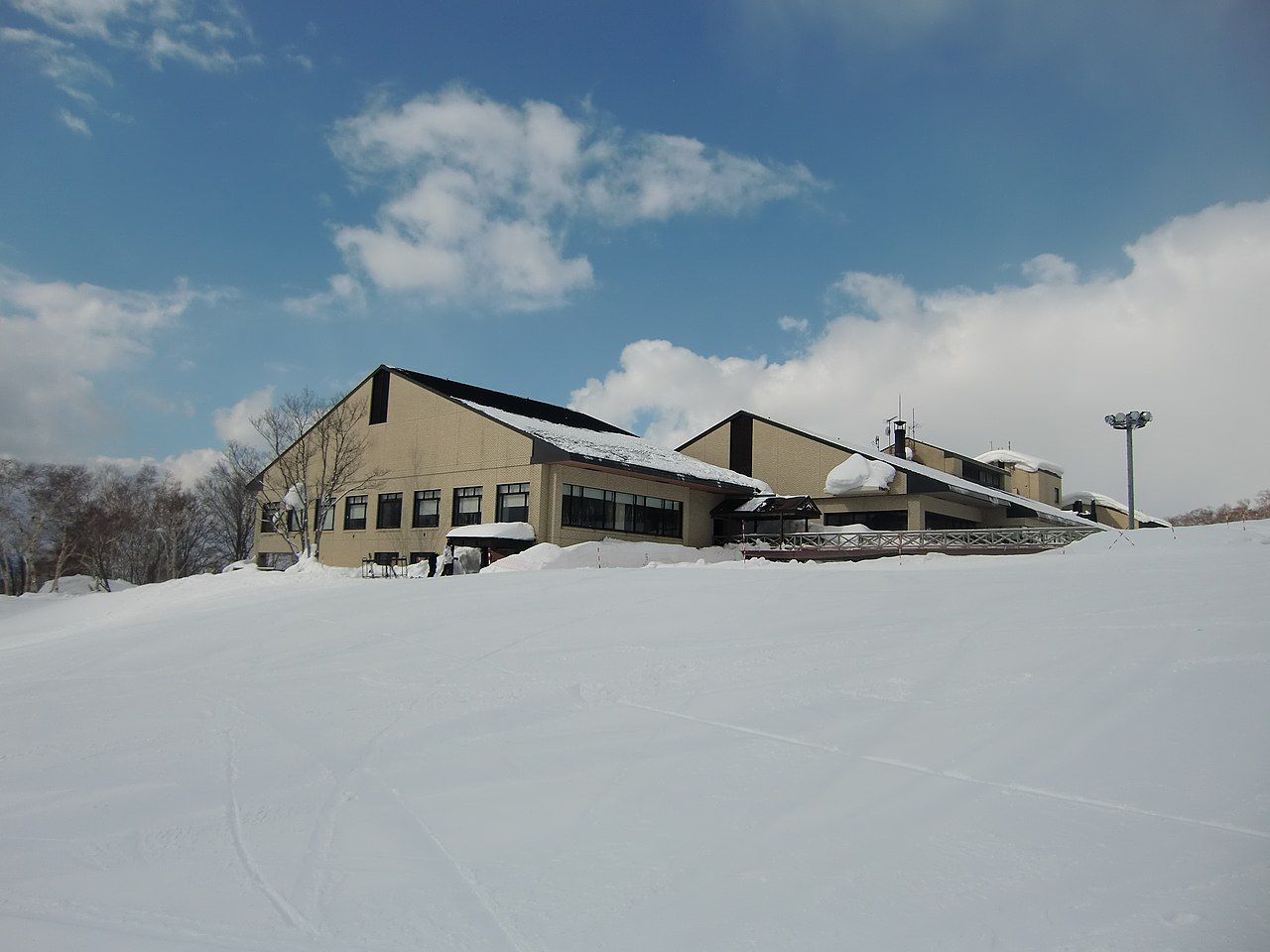 Pokryte śniegiem miejsce w Niseko w Japonii