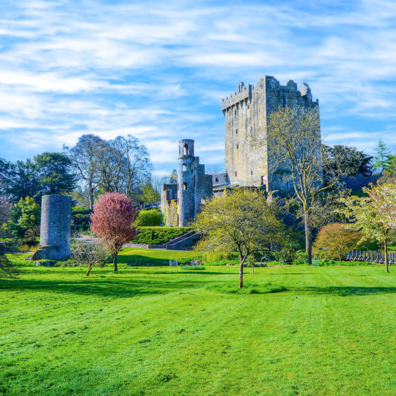 Zamek Blarney, Irlandia