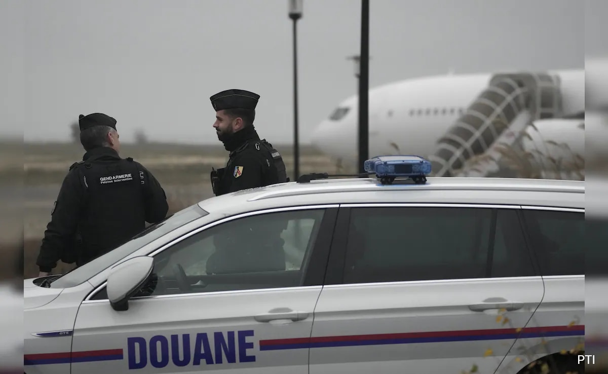 „Lotarze nie powinni płacić więcej, gdyby…”: Policja bada sprawę „Lotu osła”.