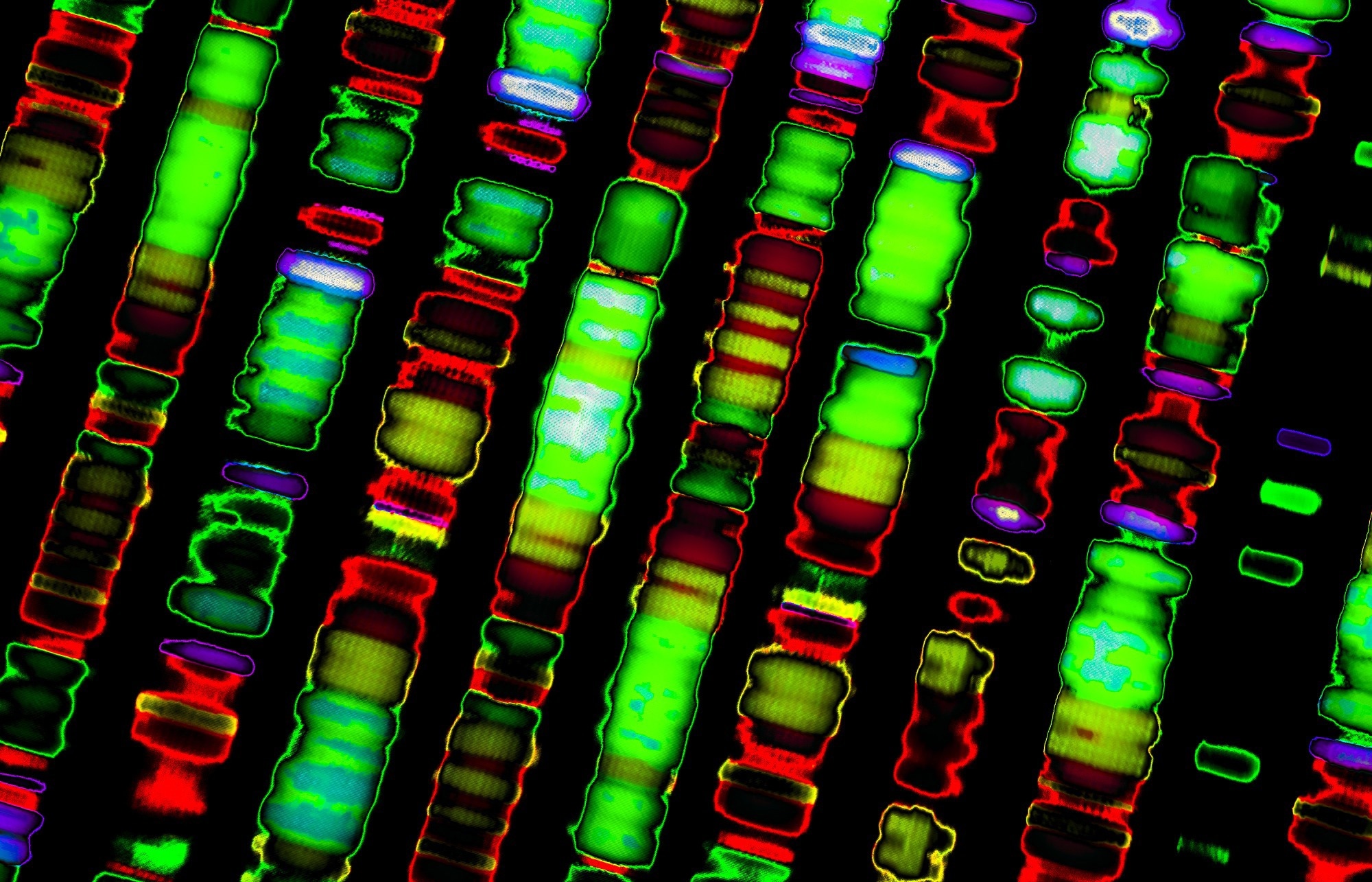 Badanie: Genomowa mapa ograniczeń mutacyjnych wykorzystująca zmienność 76 156 ludzkich genomów.  Źródło obrazu: Gio.tto / Shutterstock