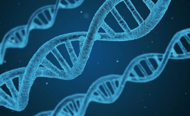 Starsze genomy mają więcej podejrzanych genów