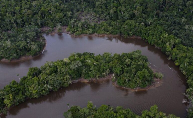 Peruwiański obrońca lasów deszczowych zginął podczas powrotu z warsztatów ekologicznych
