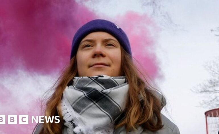 Greta Thunberg przyłącza się do protestów na lotnisku w Farnborough