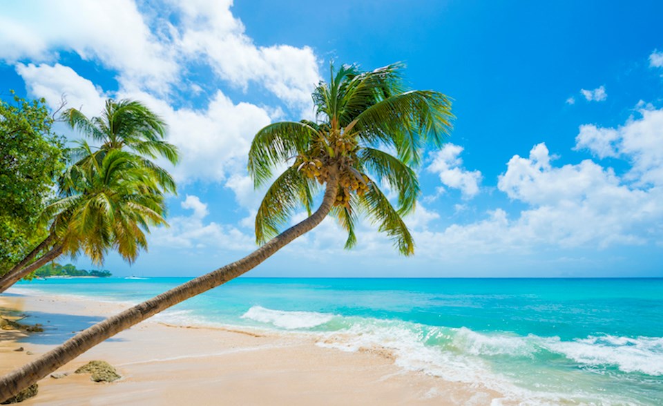 barbados-plaża-tropikalna-podróża