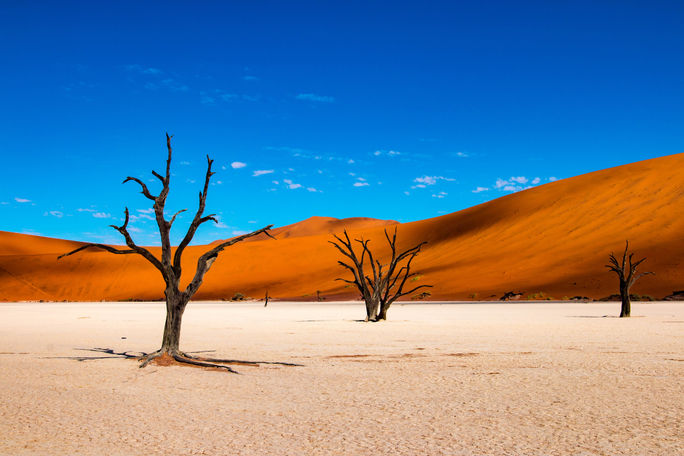 Deadvlei niedaleko Sossusvlei w Namibii