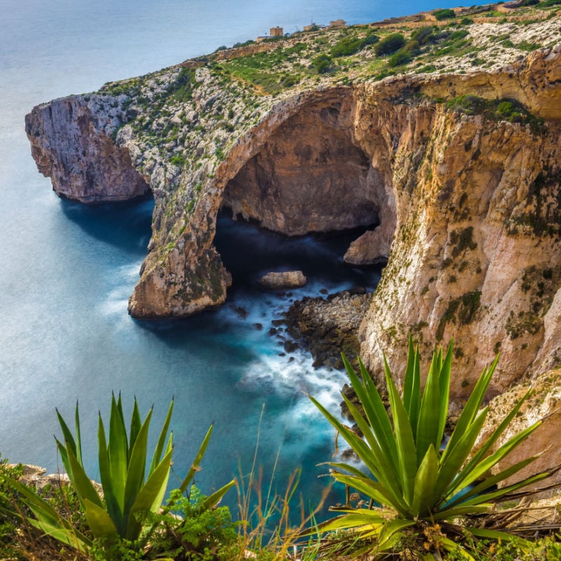 klify niebieskiej groty na Malcie z zielonymi liśćmi na pierwszym planie