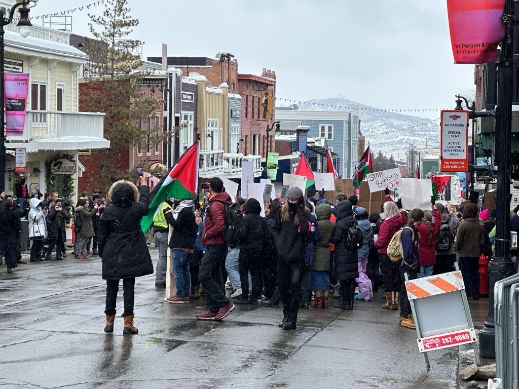 Obraz protestu propalestyńskiego