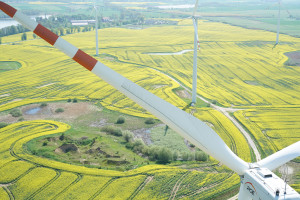 Dyrektywa RED III mówi, aby w ramach procedury wydawania zezwoleń m.in. planowanie, budowa i eksploatacja elektrowni wytwarzających energię odnawialną i podłączenie tych elektrowni do sieci były uznawane za leżące w nadrzędnym interesie publicznym