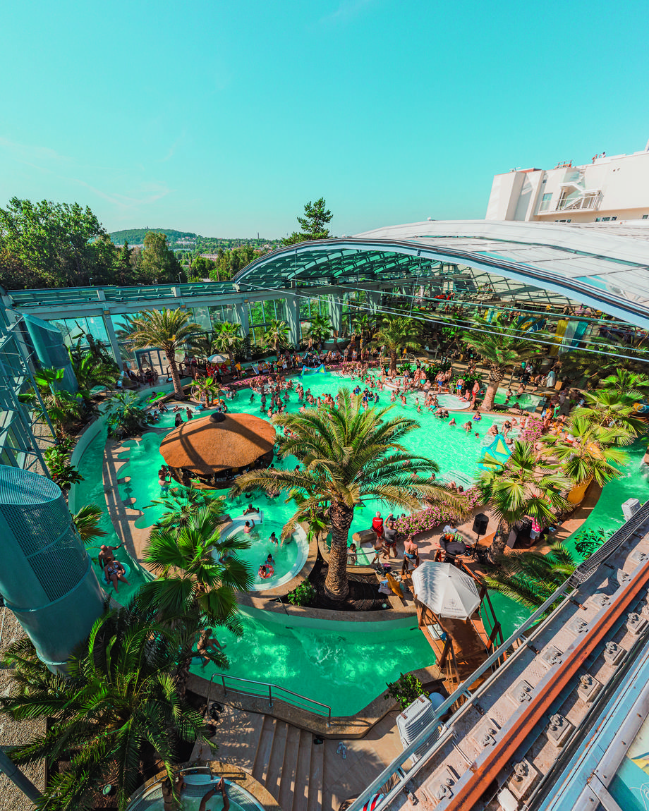250 gatunków tropikalnych roślin (oprócz palm) znajduje się w tropikalnych basenach w Hotelu Binkowski.