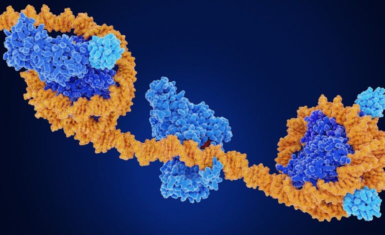 Przeprogramowanie uszkodzeń DNA |  Długość życia.io
