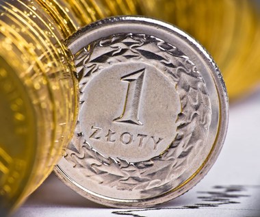 Kursy walut. Ile zapłacimy za dolara, euro i franka w środę 10 stycznia?