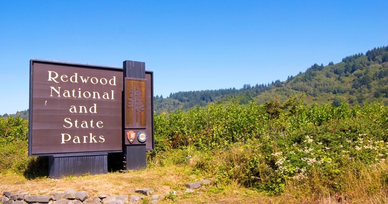 Znak parków narodowych i stanowych Redwood w Kalifornii