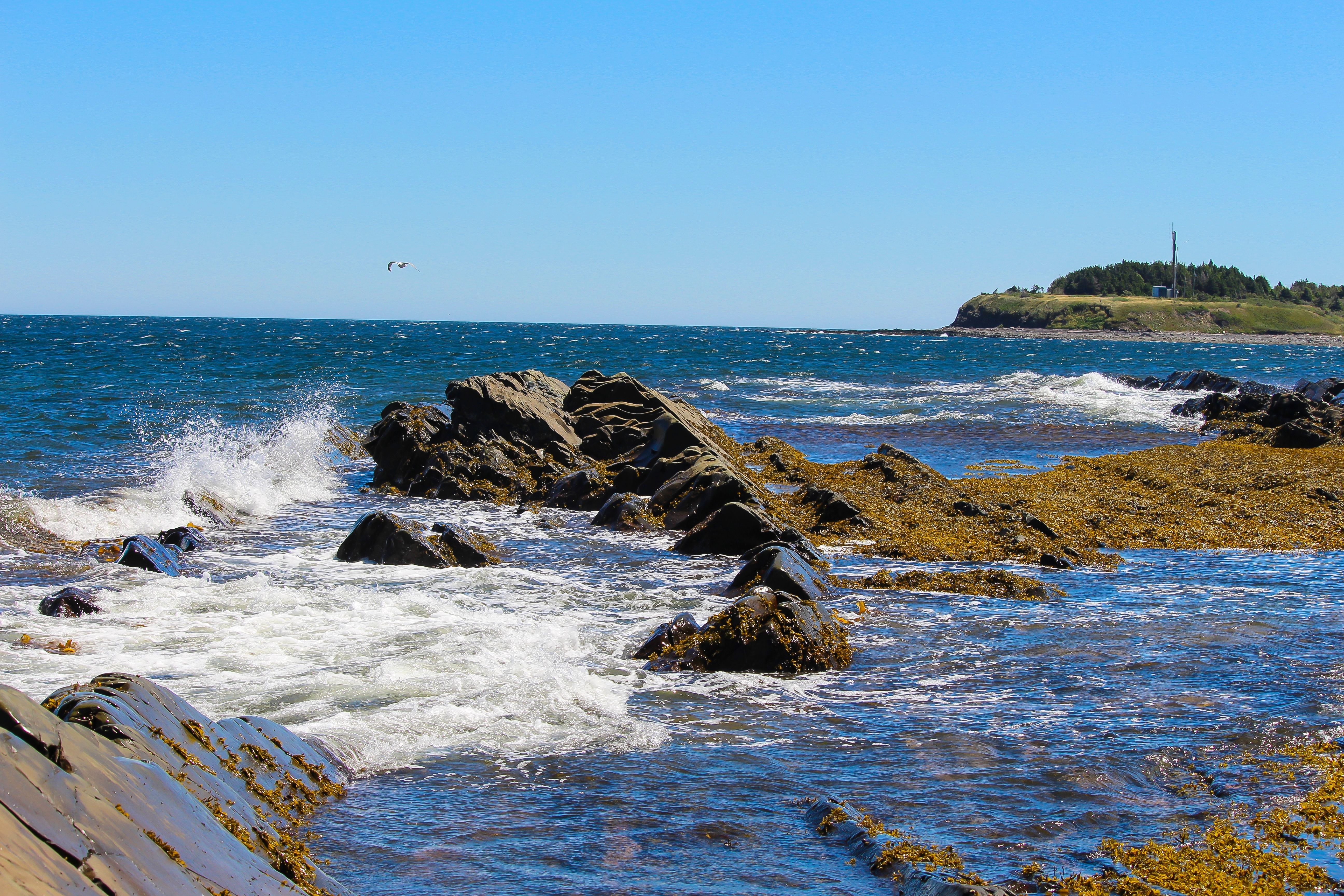 Piękne wybrzeże w Gaspé, QC, Kanada