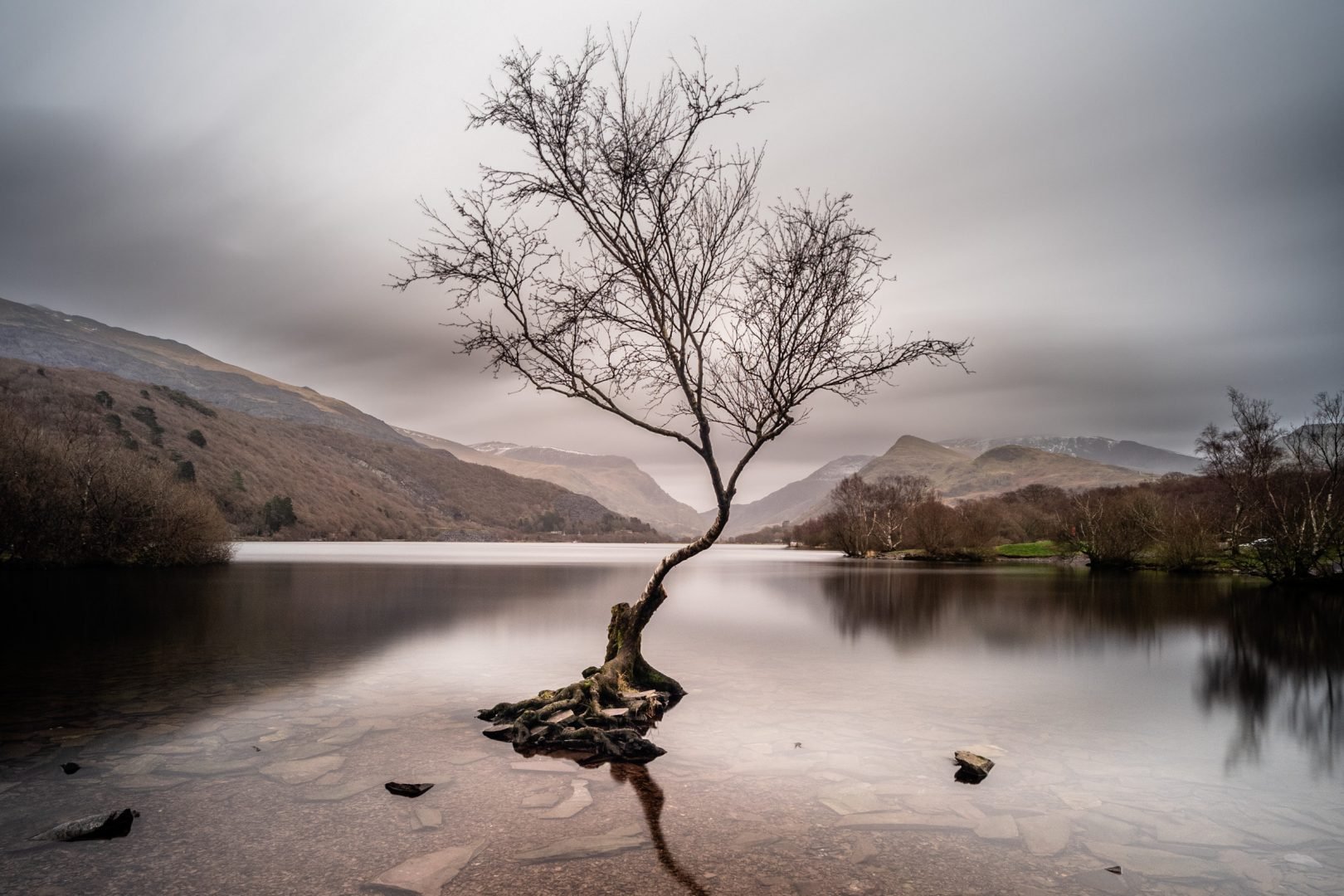 Jak nawiązać więź emocjonalną podczas fotografowania krajobrazów samotnego drzewa