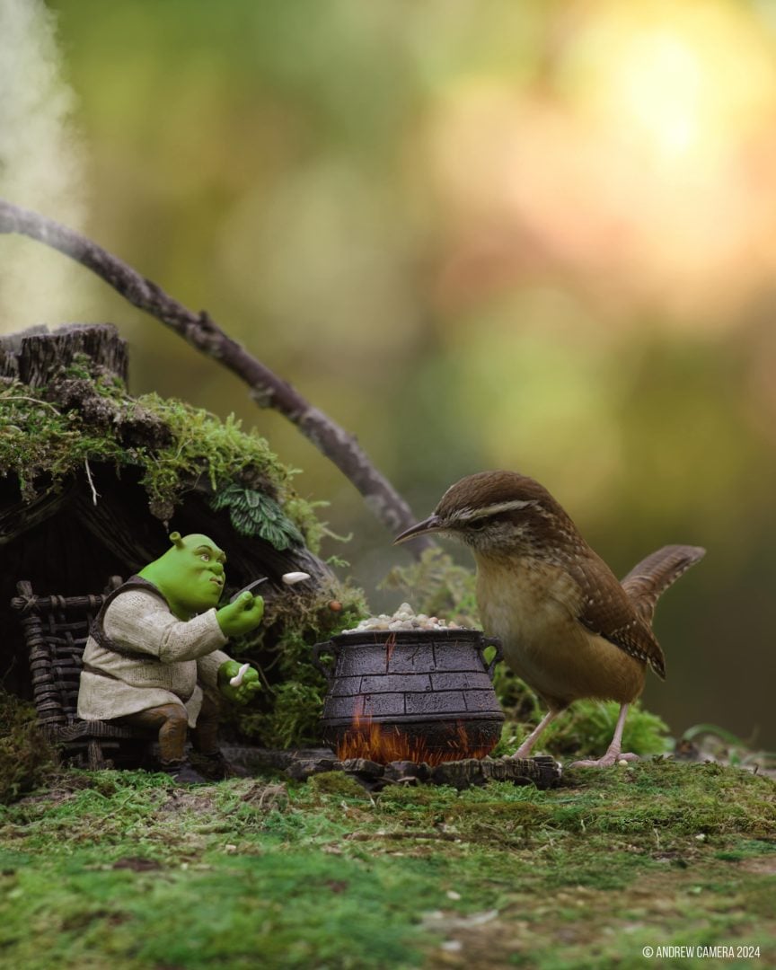 miniatury zwierzęta ptaki