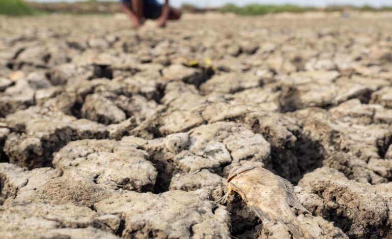 Oczekuje się, że El Niño pobije rekordy ciepła w 2024 r