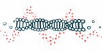 Ilustracja DNA przedstawiająca część dwóch połączonych nici, które przypominają skręconą drabinę.
