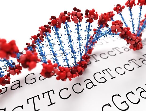 Badanie LMU identyfikuje podwójne szlaki genetyczne zwiększające ryzyko chorób układu krążenia