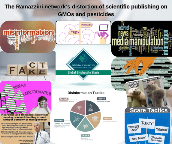 wypaczanie przez sieć Ramazzini publikacji naukowych na temat GMO i pestycydów