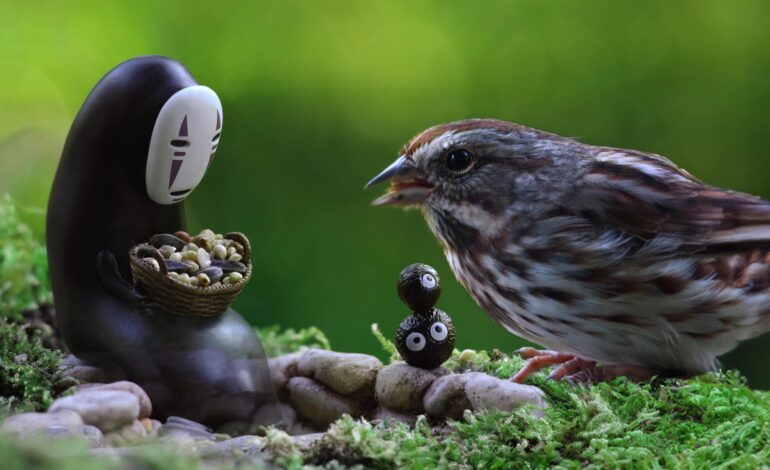 Fotograf inscenizuje fantazyjne interakcje pomiędzy ptakami, owadami i miniaturowymi zabawkami