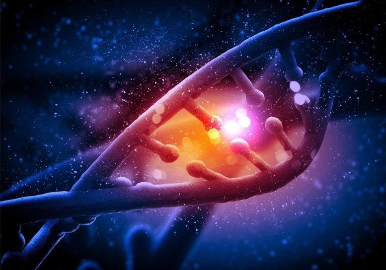Genetyka Przełomowa koncepcja DNA