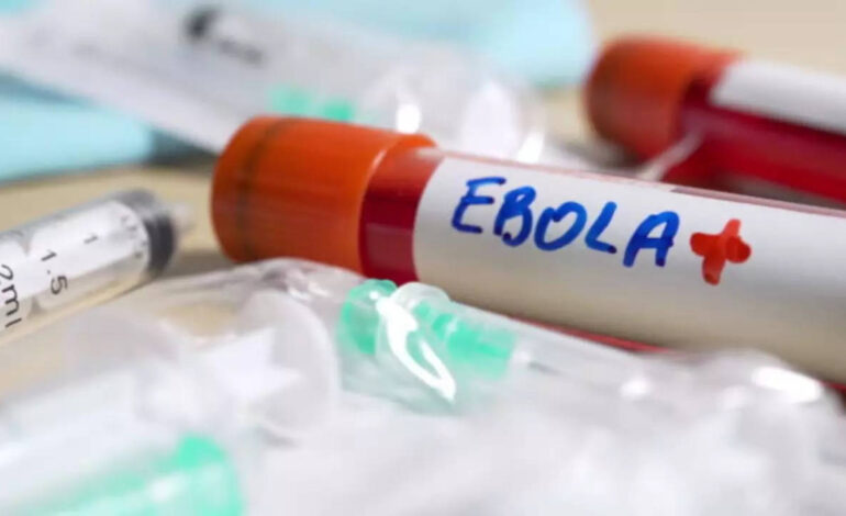 Zapobieganie wirusowi Ebola: Naukowcy odkryli nowy cel leku w zapobieganiu wirusowi Ebola.  Wiedzieć wszystko o objawach |  Wiadomości zdrowotne