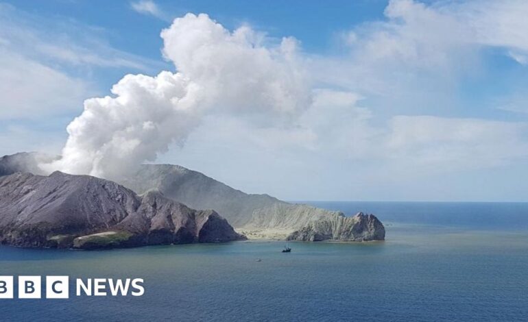 Wulkan White Island: Organizatorzy wycieczek nakazali zapłacić ofiarom miliony