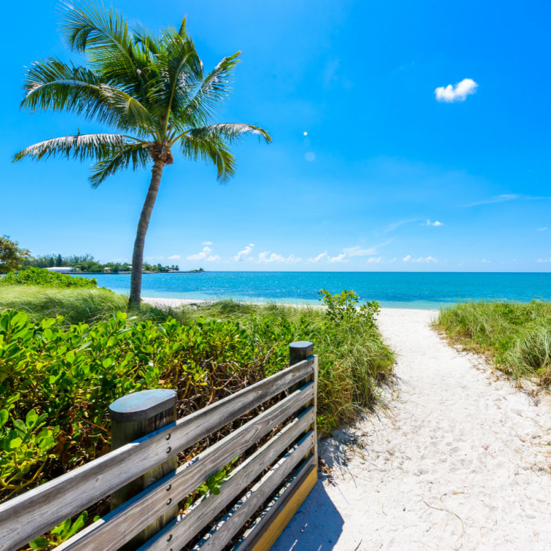 Plaża Sombrero z palmami na Florida Keys, Maraton, Floryda, USA. 