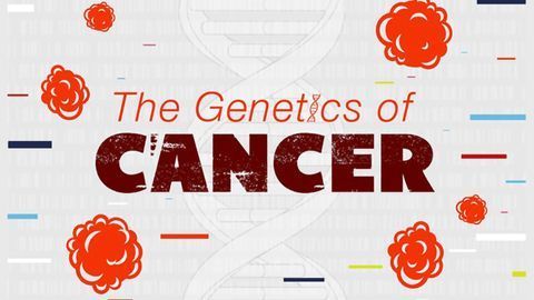 Genetyka raka