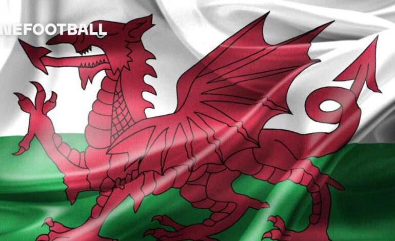 Cardiff Showdown: Walia i Polska Eye Euro 2024
