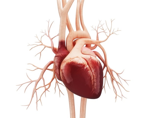 Praktyki jogiczne poprawiają zdrowie serca i wydajność funkcjonalną u pacjentów z niewydolnością serca