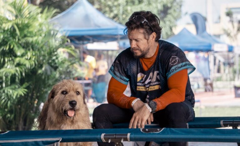 Box Office: Mark Wahlberg „Artur, król” w psim domu