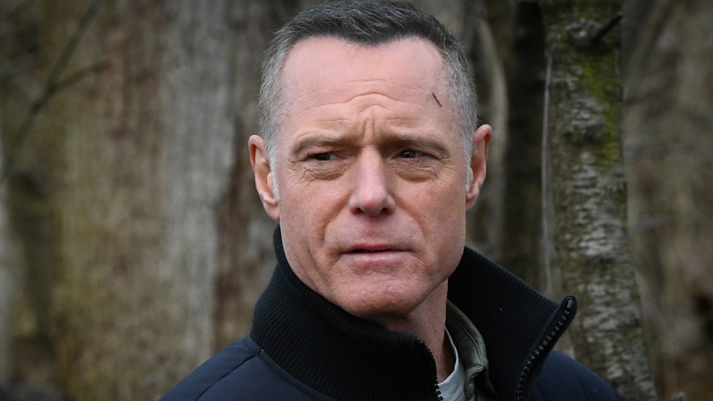 Policja w Chicago Jason Beghe jako Hank Voight