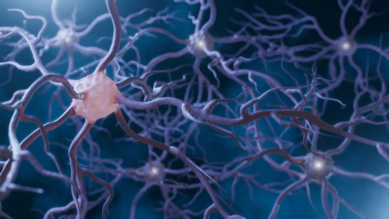 Aktywność neuronów i synaps Impulsy elektryczne wewnątrz ludzkiego mózgu