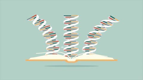 Mutacje braku sensu, nonsensu i zmiany ramki ramki: przewodnik genetyczny