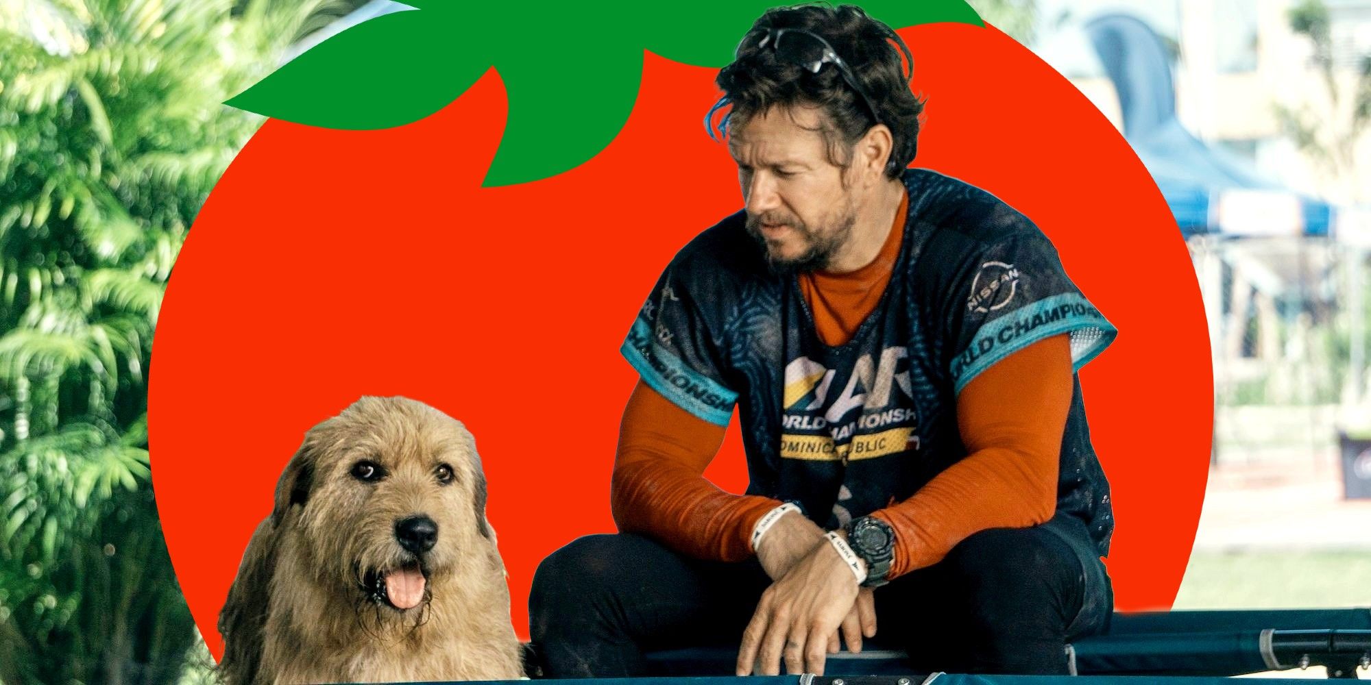 Mark Wahlberg przełamuje passę biednych zgniłych pomidorów nowym dramatem
