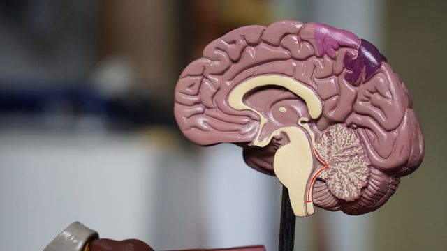Ukryte zmiany w mózgu występują u osób z chorobami serca